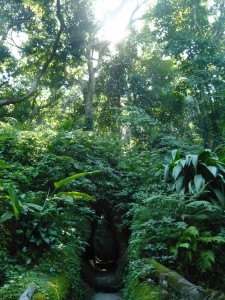 parc laje - rio de janeiro