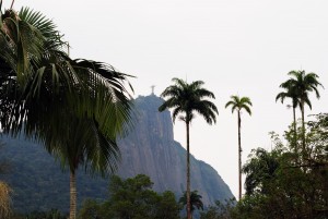 Jardim_Botânico_do_Rio_de_Janeiro_Brasil-3