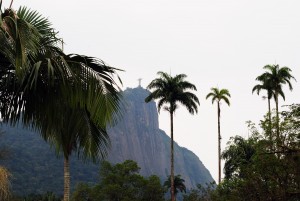 Jardim_Botânico_do_Rio_de_Janeiro_Brasil-3