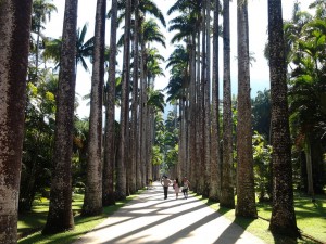 Jardim_Botânico_do_Rio_de_Janeiro_Brasil